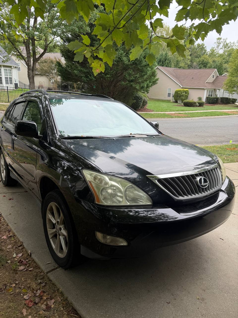 2009 Lexus RX